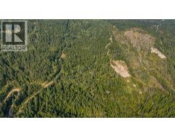 Lot 1 Elliot Forest Service Road, Lemon Creek, BC V0G2C0 Photo 21