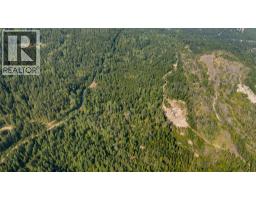 Lot 1 Elliot Forest Service Road, Lemon Creek, BC V0G2C0 Photo 22