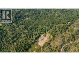 Lot 1 Elliot Forest Service Road, Lemon Creek, BC V0G2C0 Photo 23