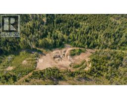 Lot 1 Elliot Forest Service Road, Lemon Creek, BC V0G2C0 Photo 24