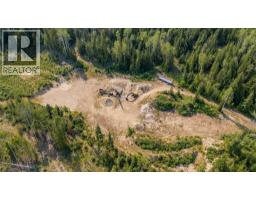 Lot 1 Elliot Forest Service Road, Lemon Creek, BC V0G2C0 Photo 25