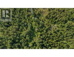 Lot 1 Elliot Forest Service Road, Lemon Creek, BC V0G2C0 Photo 27
