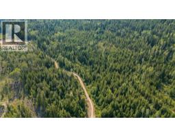 Lot 1 Elliot Forest Service Road, Lemon Creek, BC V0G2C0 Photo 28