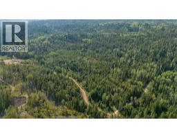 Lot 1 Elliot Forest Service Road, Lemon Creek, BC V0G2C0 Photo 29