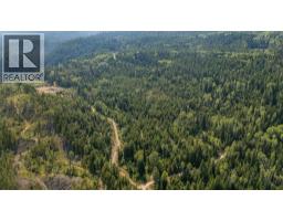 Lot 1 Elliot Forest Service Road, Lemon Creek, BC V0G2C0 Photo 30