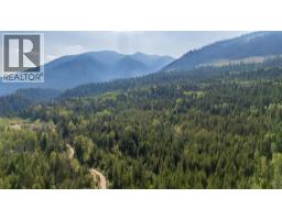 Lot 1 Elliot Forest Service Road, Lemon Creek, BC V0G2C0 Photo 31