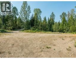 Lot 1 Elliot Forest Service Road, Lemon Creek, BC V0G2C0 Photo 32