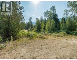 Lot 1 Elliot Forest Service Road, Lemon Creek, BC V0G2C0 Photo 33