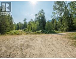 Lot 1 Elliot Forest Service Road, Lemon Creek, BC V0G2C0 Photo 34