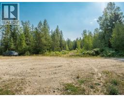 Lot 1 Elliot Forest Service Road, Lemon Creek, BC V0G2C0 Photo 35