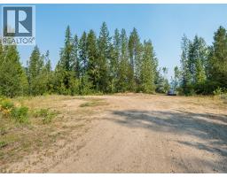 Lot 1 Elliot Forest Service Road, Lemon Creek, BC V0G2C0 Photo 36