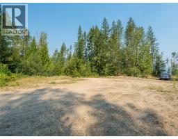 Lot 1 Elliot Forest Service Road, Lemon Creek, BC V0G2C0 Photo 37