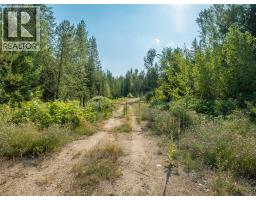 Lot 1 Elliot Forest Service Road, Lemon Creek, BC V0G2C0 Photo 38