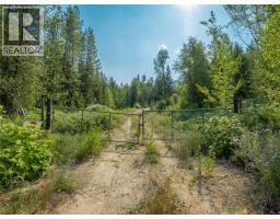 Lot 1 Elliot Forest Service Road, Lemon Creek, BC V0G2C0 Photo 39