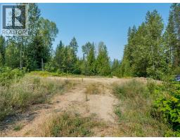 Lot 1 Elliot Forest Service Road, Lemon Creek, BC V0G2C0 Photo 40