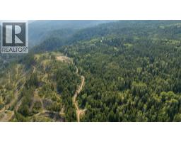 Lot 1 Elliot Forest Service Road, Lemon Creek, BC V0G2C0 Photo 6