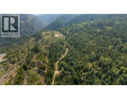 Lot 1 Elliot Forest Service Road, Lemon Creek, BC V0G2C0 Photo 7