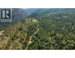 Lot 1 Elliot Forest Service Road, Lemon Creek, BC V0G2C0 Photo 8