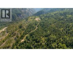 Lot 1 Elliot Forest Service Road, Lemon Creek, BC V0G2C0 Photo 9
