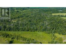 637316 St. Vincent-sydenham Townline, Meaford, ON N4L1W5 Photo 39