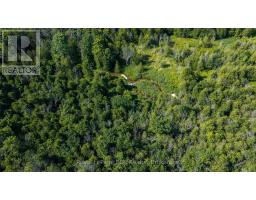637316 St. Vincent-sydenham Townline, Meaford, ON N4L1W5 Photo 41