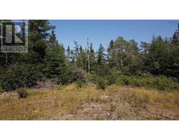 Lot Spar Lake, Port Dufferin, NS B0J2R0 Photo 13