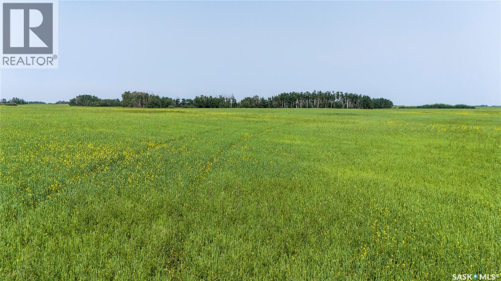 NW 02-05-03 W2 - ALAMEDA - RM 33, Moose Creek Rm No. 33, Saskatchewan, S0C0A0, Moose Creek Rm No. 33, Saskatchewan — photo 4 of 5