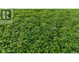 1,033 Acres - Frobisher - Rm's 3 & 4, Coalfields Rm No  4, SK S0C0B2 Photo 10