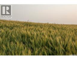 1,033 Acres - Frobisher - Rm's 3 & 4, Coalfields Rm No  4, SK S0C0B2 Photo 13