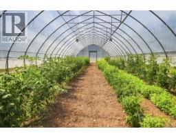 1704 Matterson Rd, Errington, BC V0R1V0 Photo 43