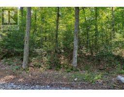 Lot #15 - 101 Gryffin Bluffs Lane, Huntsville, ON P0B1M0 Photo 10