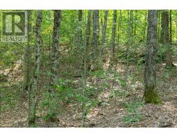 Lot #15 - 101 Gryffin Bluffs Lane, Huntsville, ON P0B1M0 Photo 11