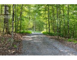 Lot #15 - 101 Gryffin Bluffs Lane, Huntsville, ON P0B1M0 Photo 13