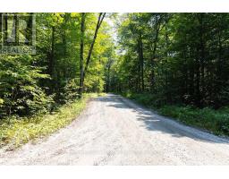 Lot #15 - 101 Gryffin Bluffs Lane, Huntsville, ON P0B1M0 Photo 14