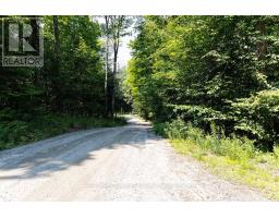 Lot #15 - 101 Gryffin Bluffs Lane, Huntsville, ON P0B1M0 Photo 15