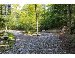 Lot #15 - 101 Gryffin Bluffs Lane, Huntsville, ON P0B1M0 Photo 6