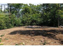 Lot #15 - 101 Gryffin Bluffs Lane, Huntsville, ON P0B1M0 Photo 7