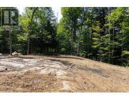 Lot #15 - 101 Gryffin Bluffs Lane, Huntsville, ON P0B1M0 Photo 8