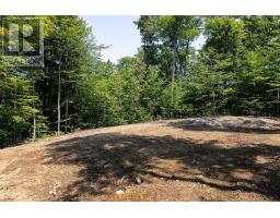 Lot #15 - 101 Gryffin Bluffs Lane, Huntsville, ON P0B1M0 Photo 9