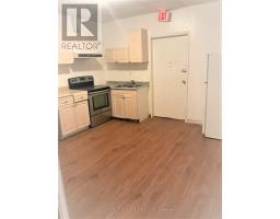 Lower Level Basement - 584 Dundas Street W, Toronto, ON M5T1H5 Photo 11