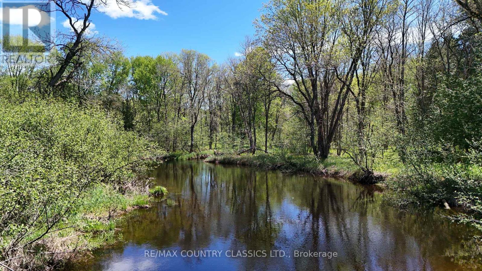 529 MAYO LAKE ROAD - Image 10