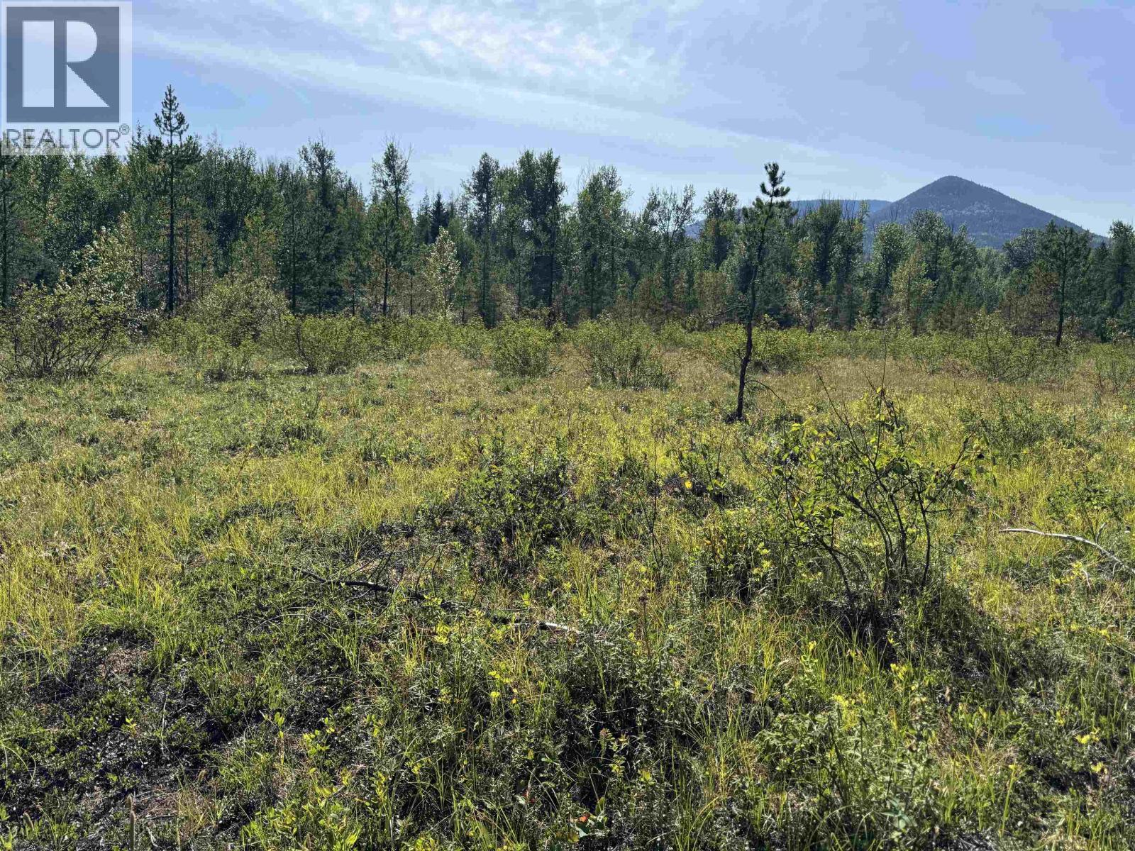13100 CANYON Road, Smithers