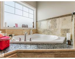 876 Hodgins Rd Nw, Edmonton, AB T6M0K8 Photo 19