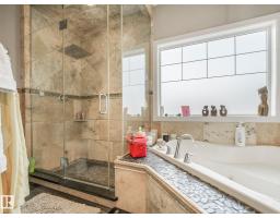 876 Hodgins Rd Nw, Edmonton, AB T6M0K8 Photo 20
