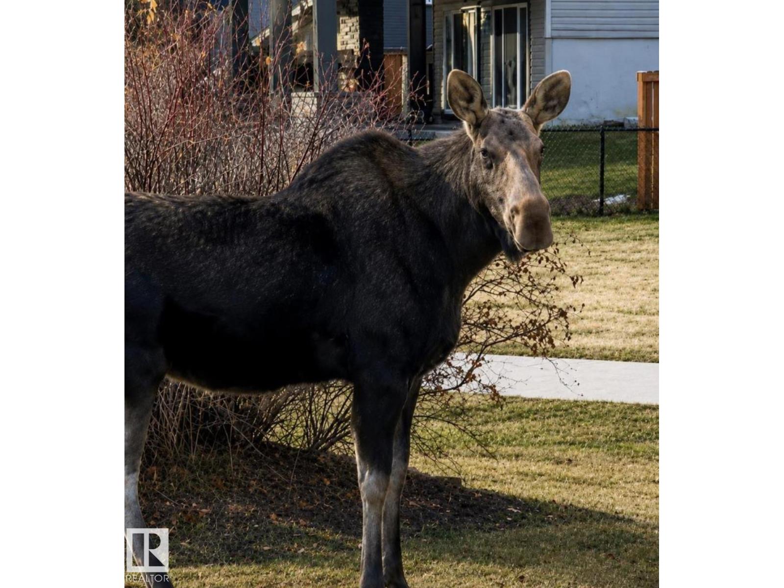 12737 205 ST NW - Image 41