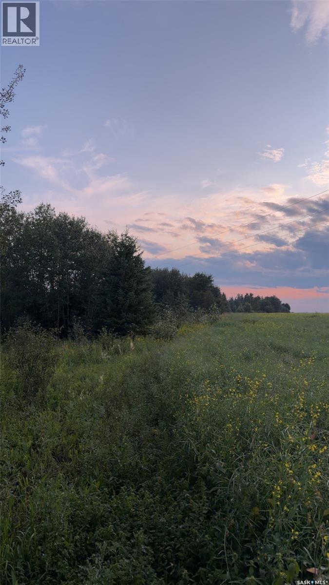 25.87 Acres 8.5kms East of Meadow Lake, Meadow Lake Saskatchewan — photo 10
