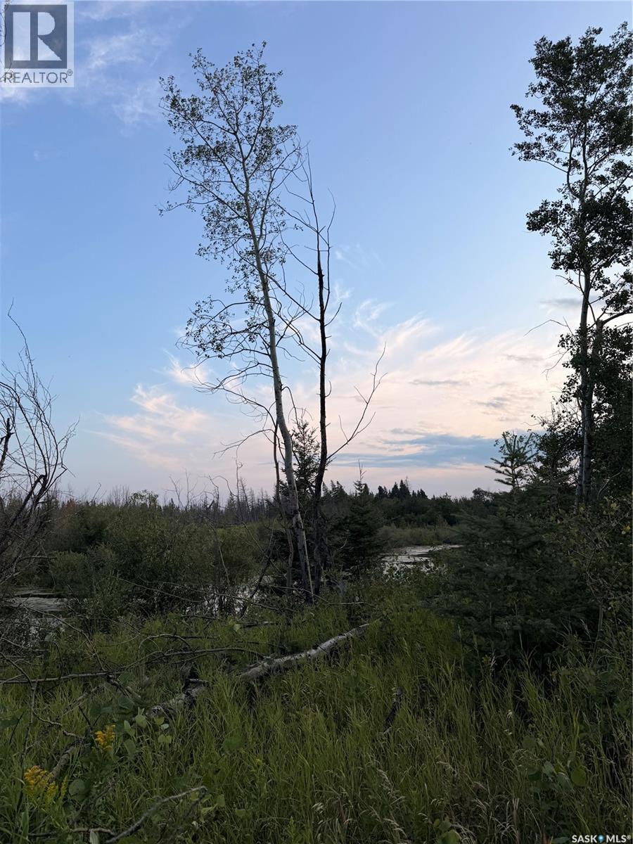 25.87 Acres 8.5kms East of Meadow Lake, Meadow Lake Saskatchewan — photo 11