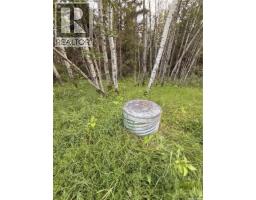 25.87 Acres 8.5kms East Of Meadow Lake, Meadow Lake, SK S9X1Y9 Photo 6