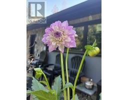 2551 Yearley Road, Huntsville, ON P0B1L0 Photo 14