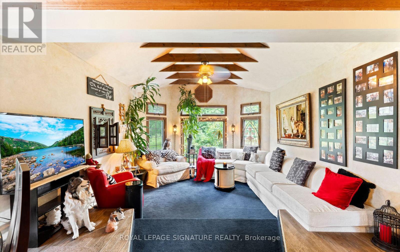 17 MUSTARD STREET - 11